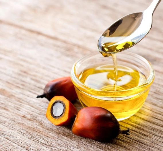 Palm Oil Supply